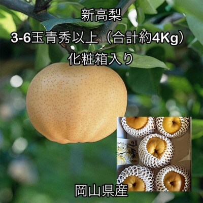 【2026年発送】岡山県産 新高梨 3～6玉 青秀以上(約4kg)化粧箱入り