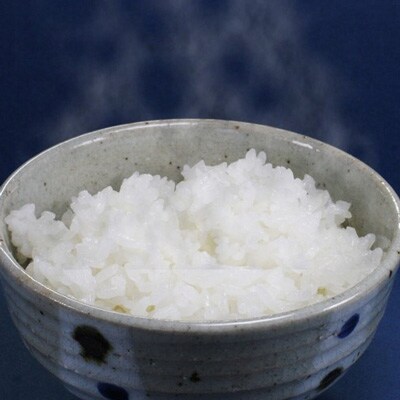 【令和4年産・2～3日以内で発送中】すくも産ヒノヒカリ10kg
