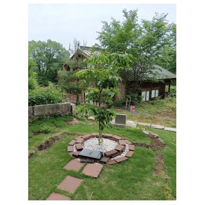 ペット供養お焚き上げ用ハガキセット 4-1