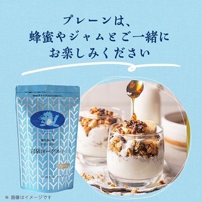 岩泉ヨーグルト2袋セット(プレーン1kg×2袋)