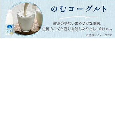 岩泉ヨーグルト(加糖1kg×2袋)・のむヨーグルト(720ml×1本)セット