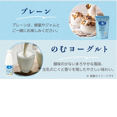 岩泉ヨーグルト(プレーン1kg×2袋)・のむヨーグルト(720ml×1本)セット