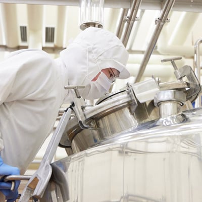 【毎月定期便】岩泉ヨーグルト プレーン(1kg×2袋)全3回