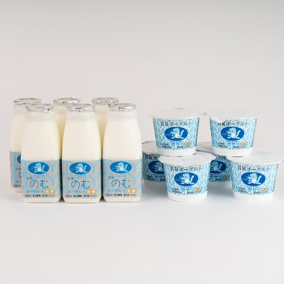 【毎月定期便】岩泉ヨーグルト90g×6個・のむヨーグルト200ml×6本セット全3回