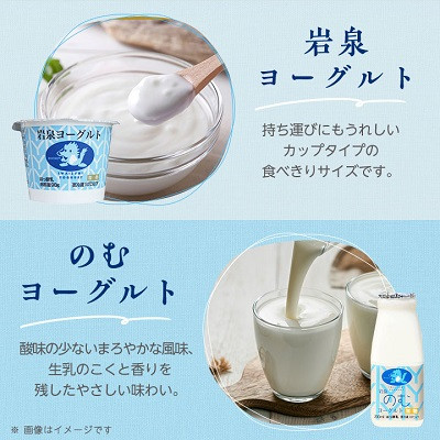 【毎月定期便】岩泉ヨーグルト90g×6個・のむヨーグルト200ml×6本セット全3回