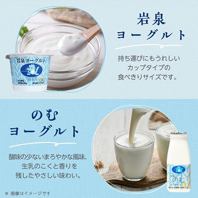 【毎月定期便】岩泉ヨーグルト90g×6個・のむヨーグルト200ml×6本セット全6回