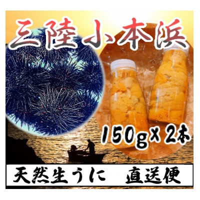 三陸産　生ウニ　150gx2本 三陸小本浜産 生ウニ(牛乳瓶・150g)2本入り | 岩手県岩泉町