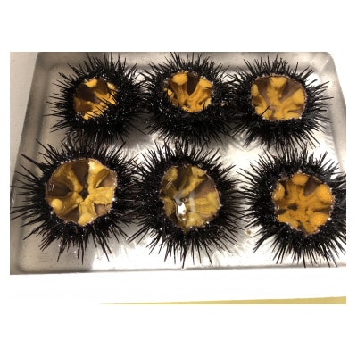 三陸小本浜産　生ウニ(牛乳瓶・150g)2本入り