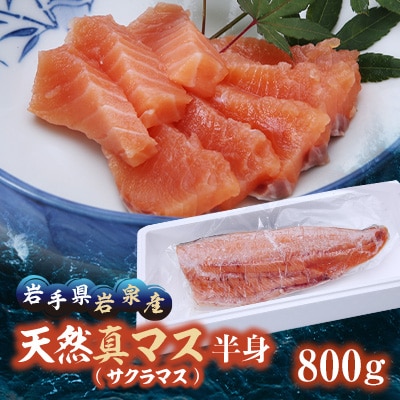 小本浜産 天然真マス(サクラマス) 半身