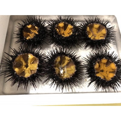 三陸小本産生ウニ　150g瓶入り