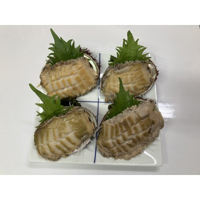 三陸小本浜産冷凍天然あわび　400g(4個入り)