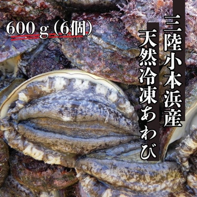 三陸小本浜産冷凍天然あわび　600g(6個入り)