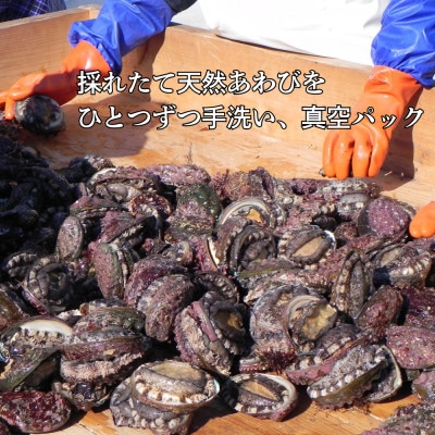 三陸小本浜産冷凍天然あわび　600g(6個入り)