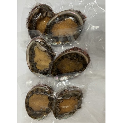 三陸小本浜産冷凍天然あわび　600g(6個入り)
