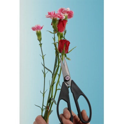 銀チタンはさみ　2本組