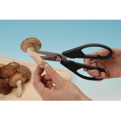 銀チタンはさみ　2本組