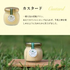 なかほら牧場のぷりん6個セット〔カスタード〕 | ふるさと納税のお礼品