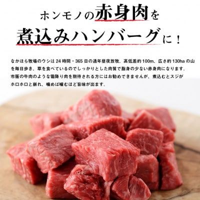 なかほら牧場の煮込みハンバーグ5個セット