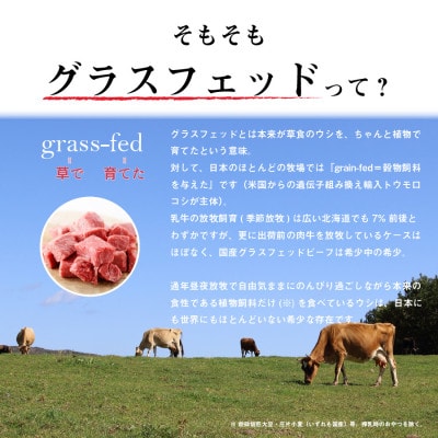 なかほら牧場 グラスフェッドビーフ角切り(500g)