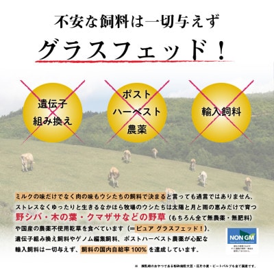 なかほら牧場 グラスフェッドビーフ角切り(500g)