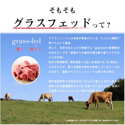 なかほら牧場 グラスフェッドビーフ粗挽き(500g)