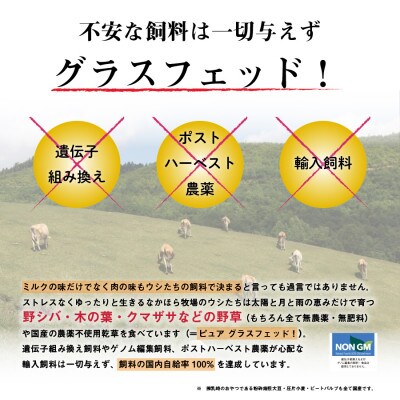 なかほら牧場 グラスフェッドビーフ粗挽き(500g)