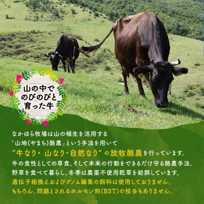 なかほら牧場 ふるさと納税セット