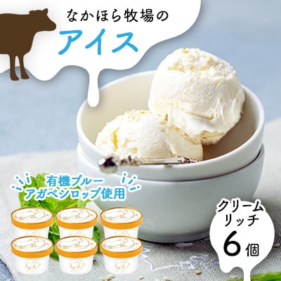 なかほら牧場 アイスクリーム《クリームリッチ》6個セット