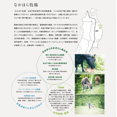 なかほら牧場のアイス3種各1個&フローズンヨーグルト3種各1個　合計6個セット