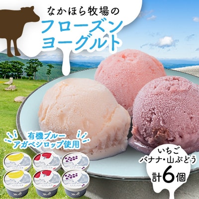 なかほら牧場のフローズンヨーグルト3種各2個　合計6個セット