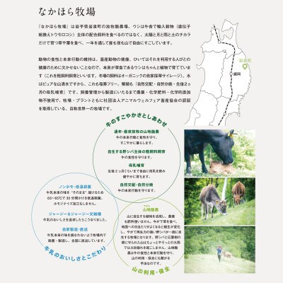 【毎月定期便】なかほら牧場のノンファット(無脂肪タイプ)ヨーグルト 〔500 ml〕3本全6回