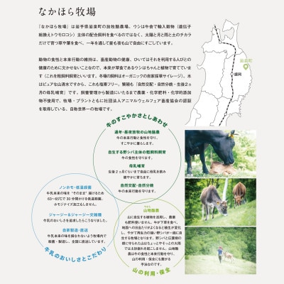 【毎月定期便】なかほら牧場のノンファット(無脂肪タイプ)ヨーグルト 〔500 ml〕3本全3回