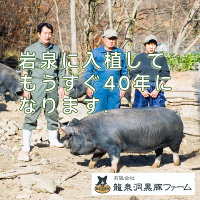 黒豚しゃぶしゃぶセット【岩泉産龍泉洞黒豚】おためし用600g