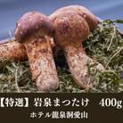 ≪特選≫　岩泉まつたけ  400g　天然