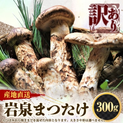 【訳アリ】 岩泉まつたけ  300g　家庭用にどうぞ