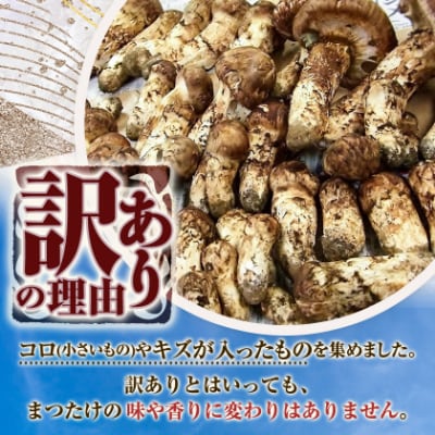 【訳アリ】 岩泉まつたけ  300g　家庭用にどうぞ