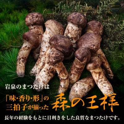 【訳アリ】 岩泉まつたけ  300g　家庭用にどうぞ