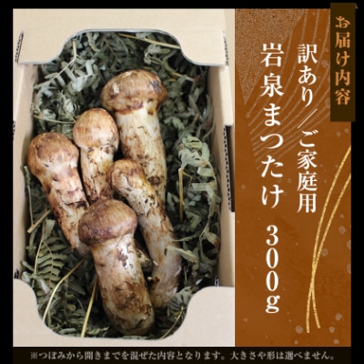 【訳アリ】 岩泉まつたけ  300g　家庭用にどうぞ