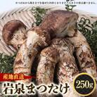≪産地直送≫　岩泉まつたけ 250g