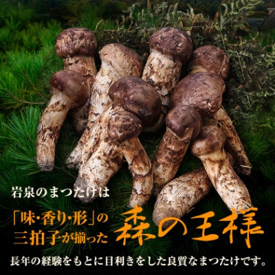 ≪産地直送≫　岩泉まつたけ 250g