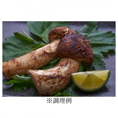 ≪産地直送≫　岩泉まつたけ 250g