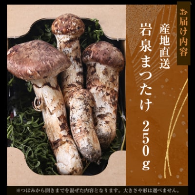 ≪産地直送≫　岩泉まつたけ 250g