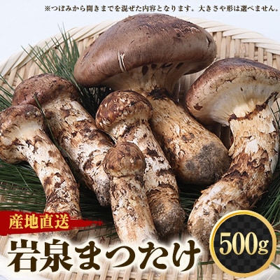 ≪産地直送≫　岩泉まつたけ  500g