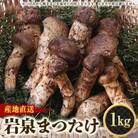 ≪産地直送≫　岩泉まつたけ  1kg
