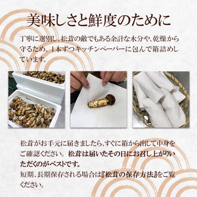 【2024年9月中旬～10月中旬発送予定】松茸マイスター厳選!旬の岩泉産松茸　250g(前後)