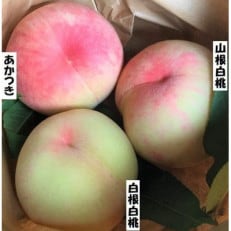 岩手県岩泉町産【桃 2品種食べくらべ♪】3キロ(大玉6個、中玉2個)生産者直送!