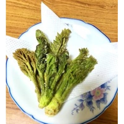 春の山菜　タラの芽(100g×2パック)