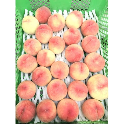 【2026年7月下旬より順次発送】岩手県岩泉町産　桃2品種 食べくらべセット(1.5キロ)