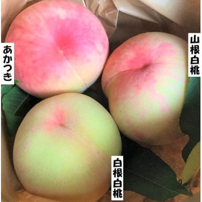 【2026年7月下旬より順次出荷】桃 2～3品種(1.5キロ:約4個)食べくらべセット