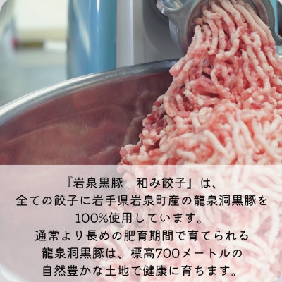 【岩泉黒豚 和み餃子】岩手県岩泉町産 龍泉洞黒豚使用の手包み餃子 40個